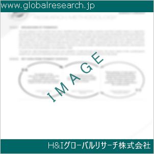 グローバルリサーチ調査資料のイメージ